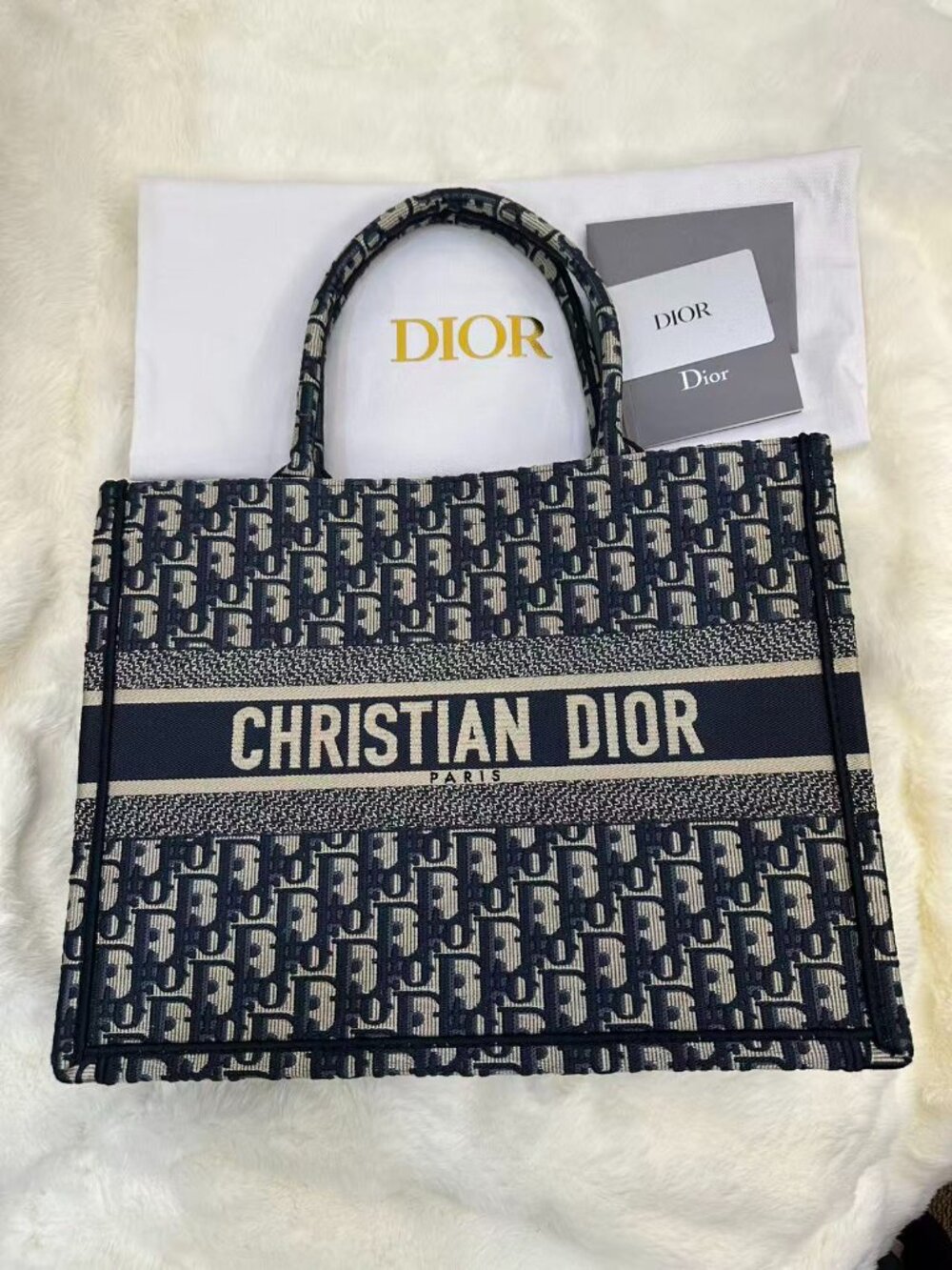 Dior Blue Oblique Book Tote Bag